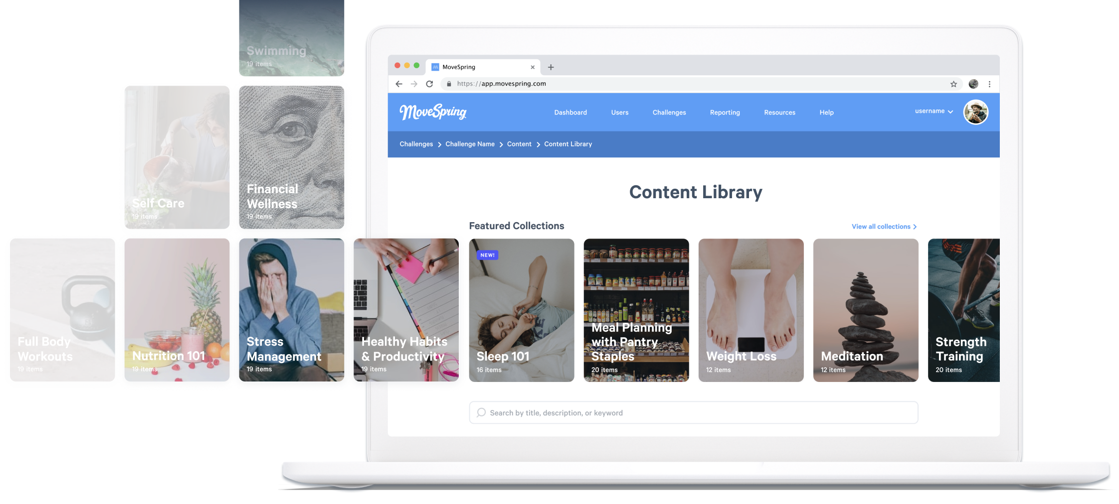 web view of content library