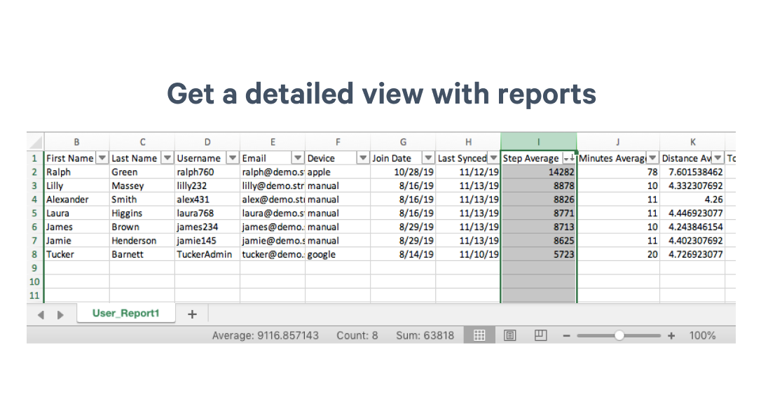 view of a user report spreadsheet